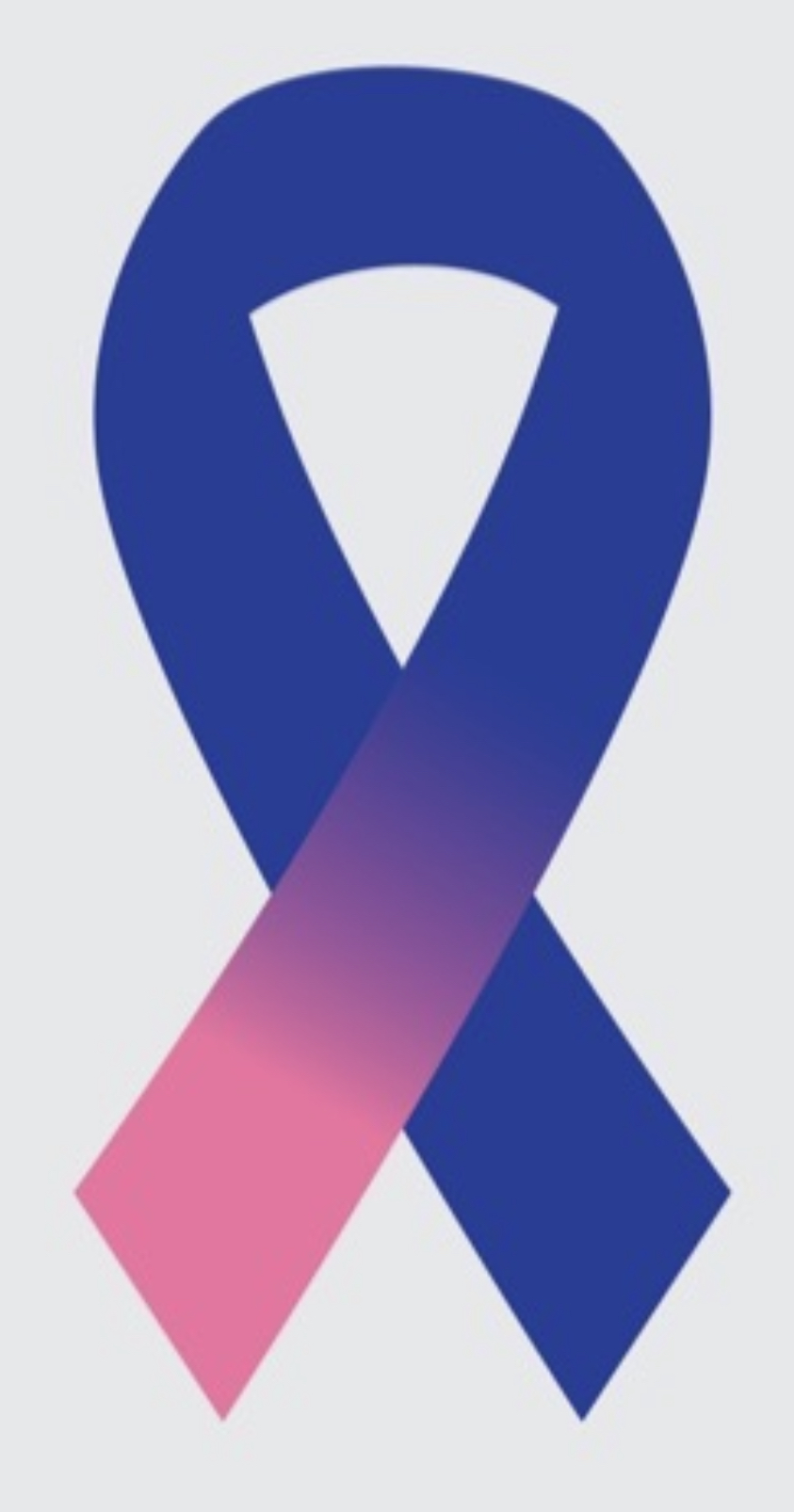 Father's Awareness Ribbon with a blue top loop, pink left tail, and blue right tail